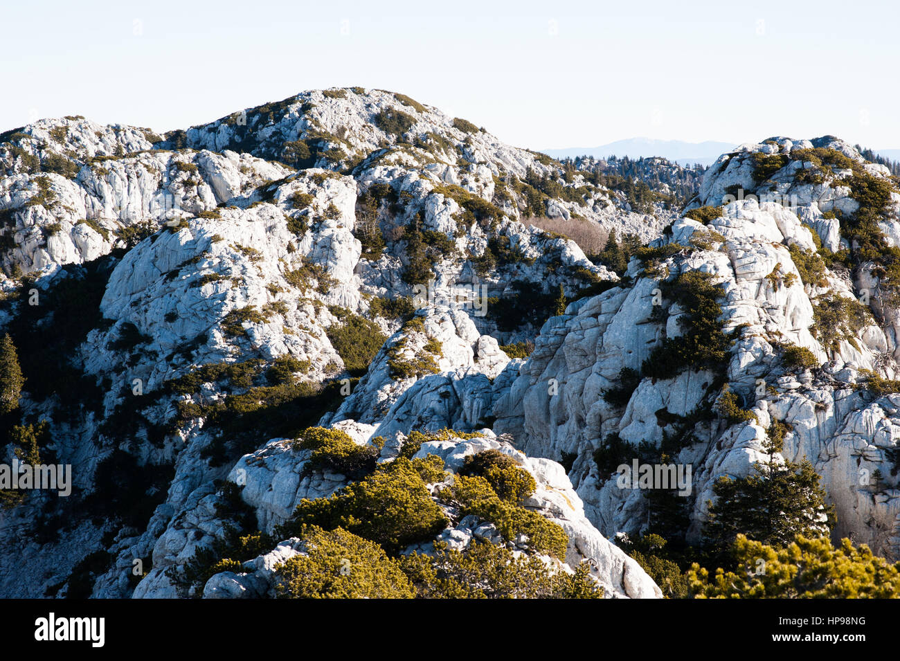 Pristine wild nature hi-res stock photography and images - Alamy