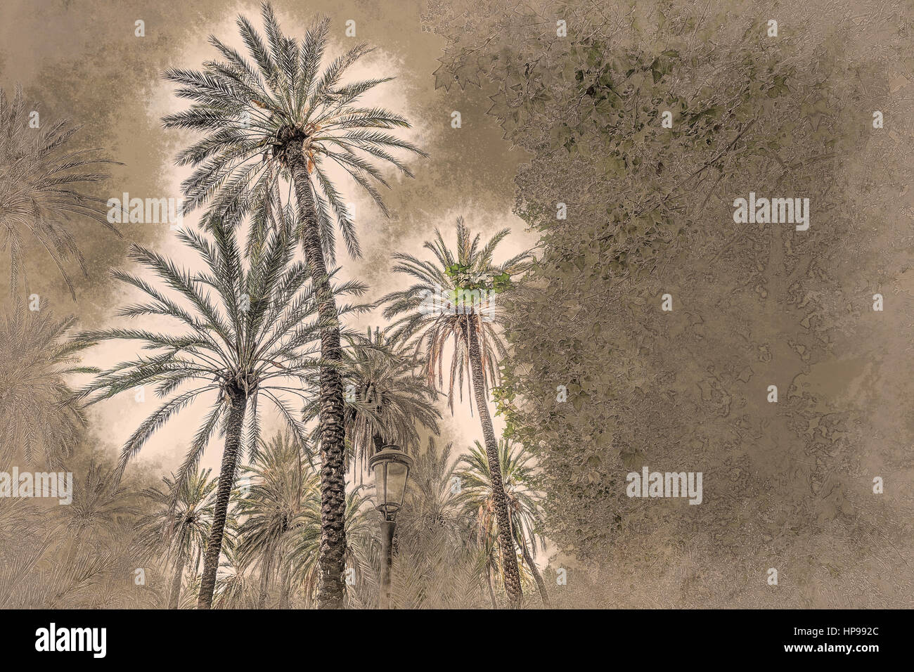 Palm trees in a tropical resort at beautiful sunny day. Image of ...
