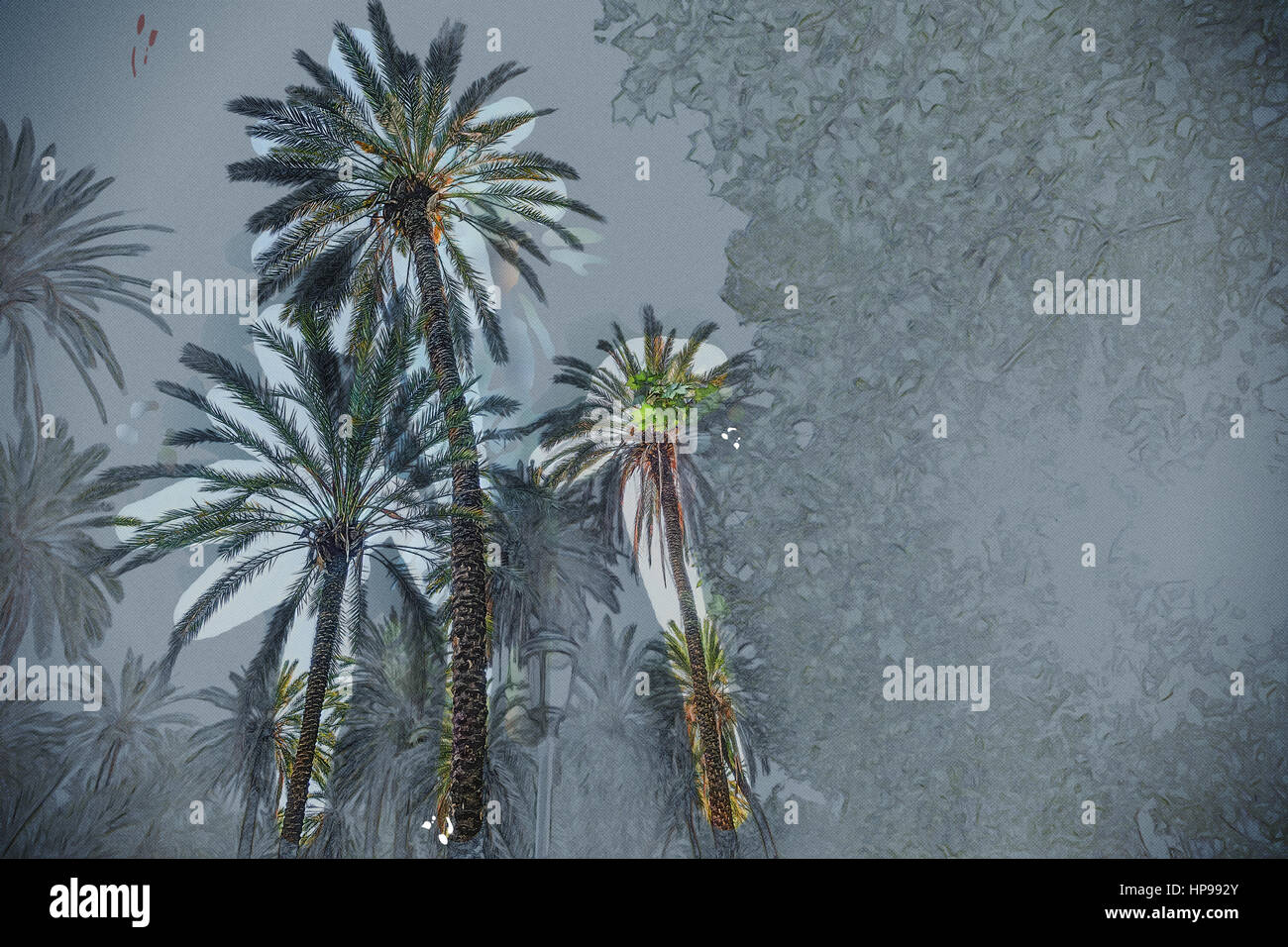 Palm trees in a tropical resort at beautiful sunny day. Image of ...