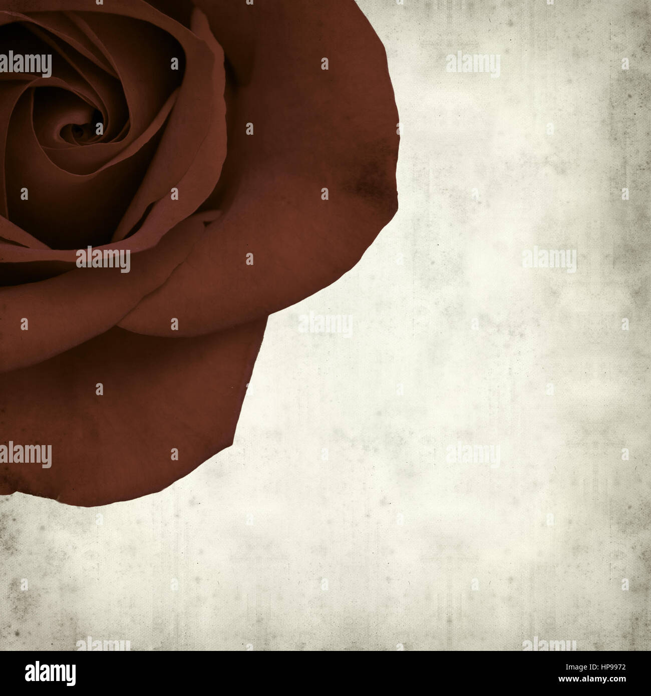 Rusty Paper Roses Backround textured old paper background with open dark red rose Stock Photo - Alamy