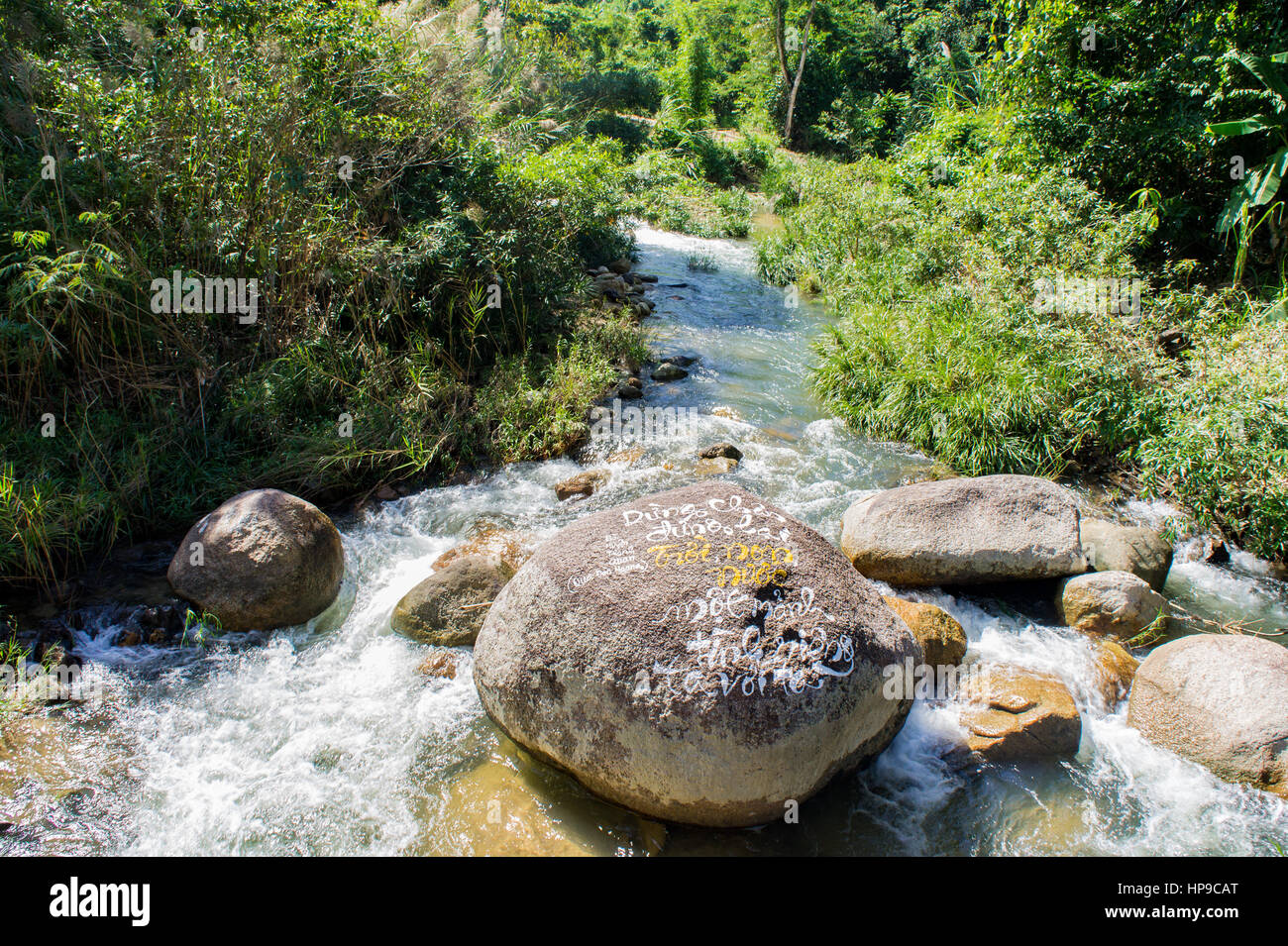 The river with stone in the jungle Stock Photo - Alamy