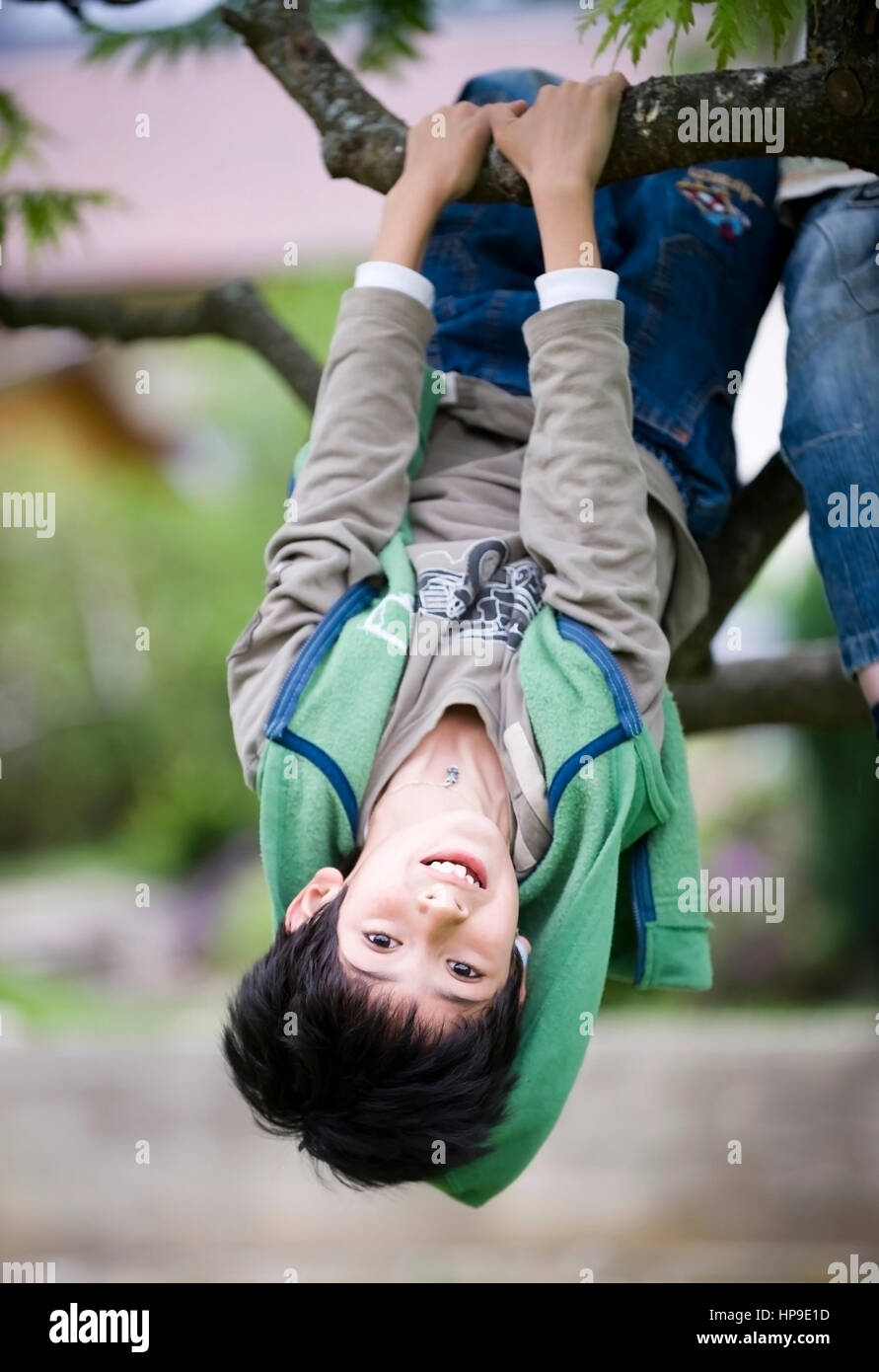 Junge, 8, turnt auf Baum - boy hanging on a tree Stock Photo