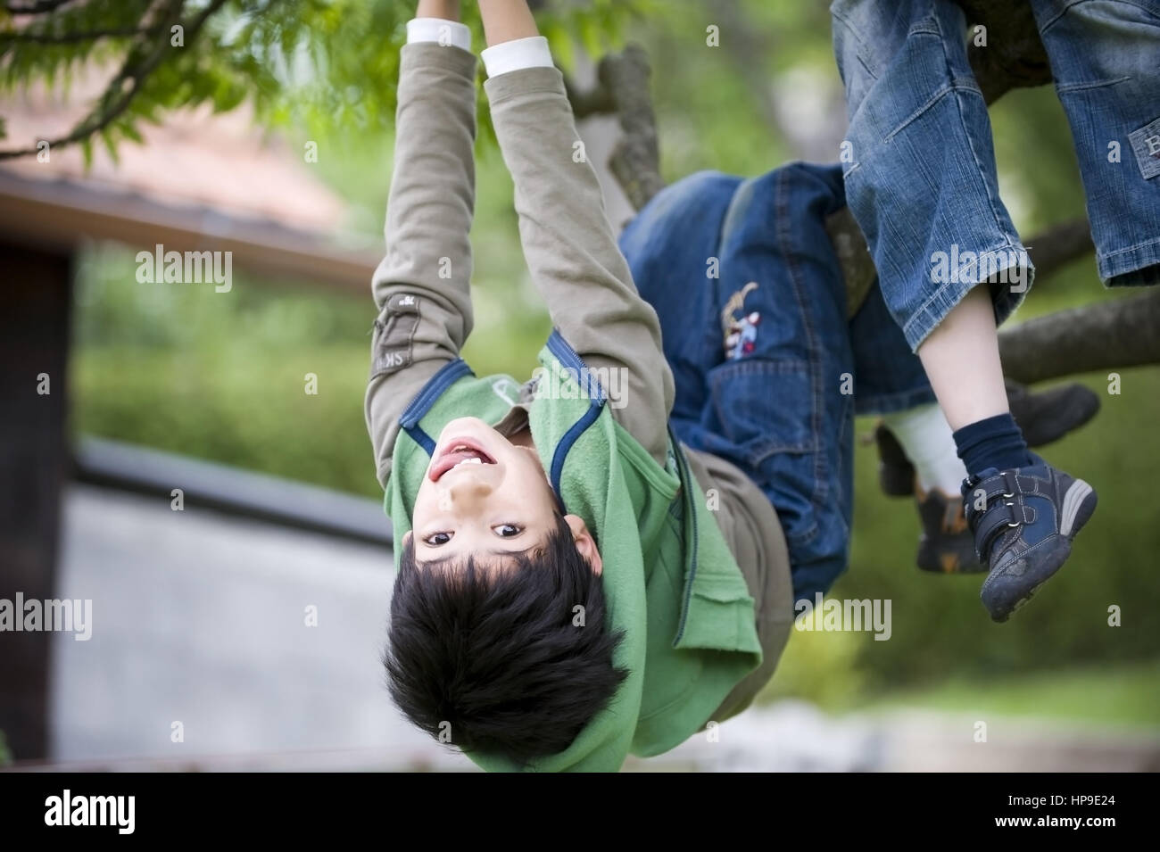 Junge, 8, turnt auf Baum - boy hanging on a tree Stock Photo