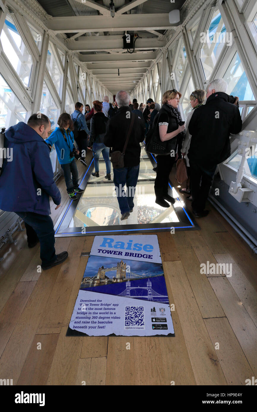 Tourists in the Tower Bridge Glass Floor walkway, River Thames, London City, England, UK Stock Photo