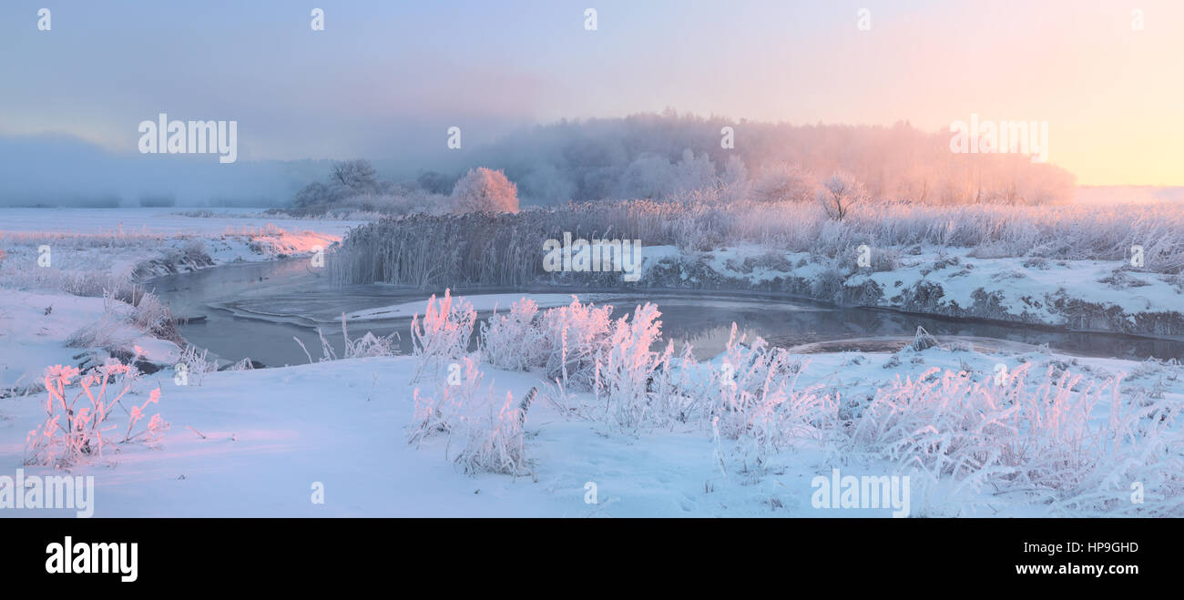 Snowy meadow and grass with hoarfrost illuminaed by rising sun. Beautiful winter landscape. Foggy winter morning. Stock Photo