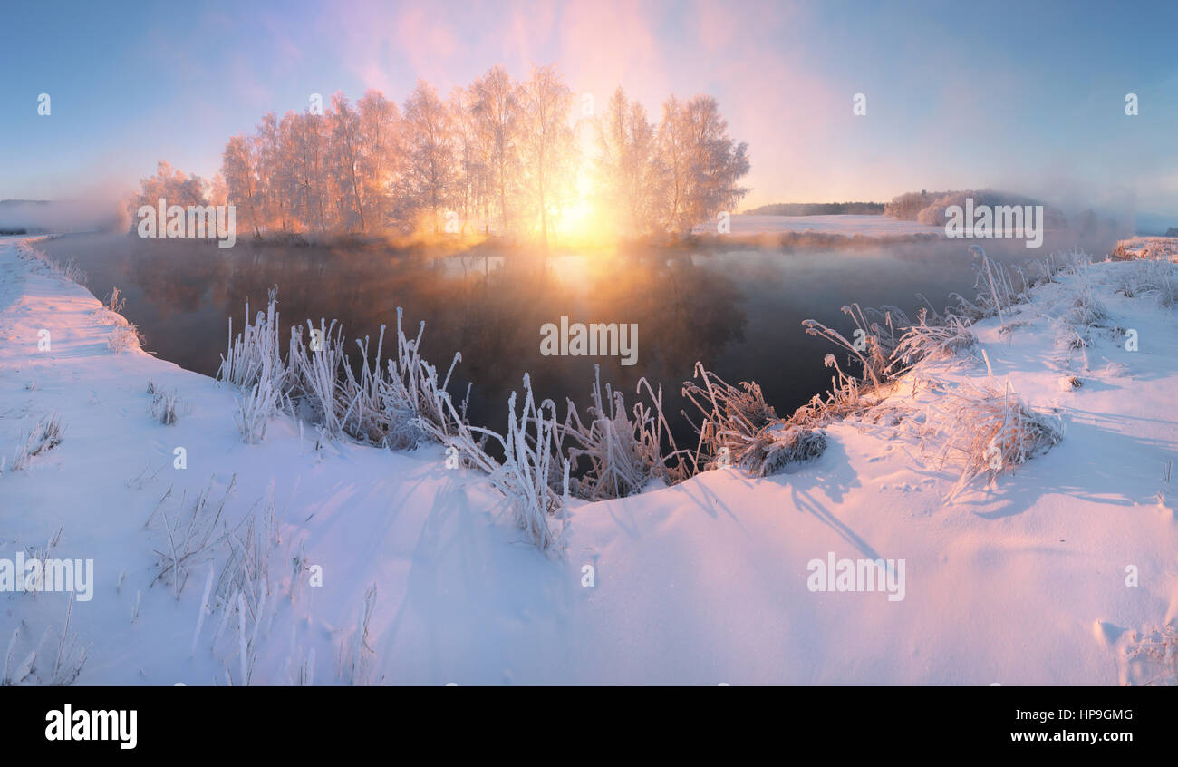 Sun beams illuminate snowy riverside. Panoramic winter landscape. Hoarfrost everywhere in cold winter morning. Stock Photo