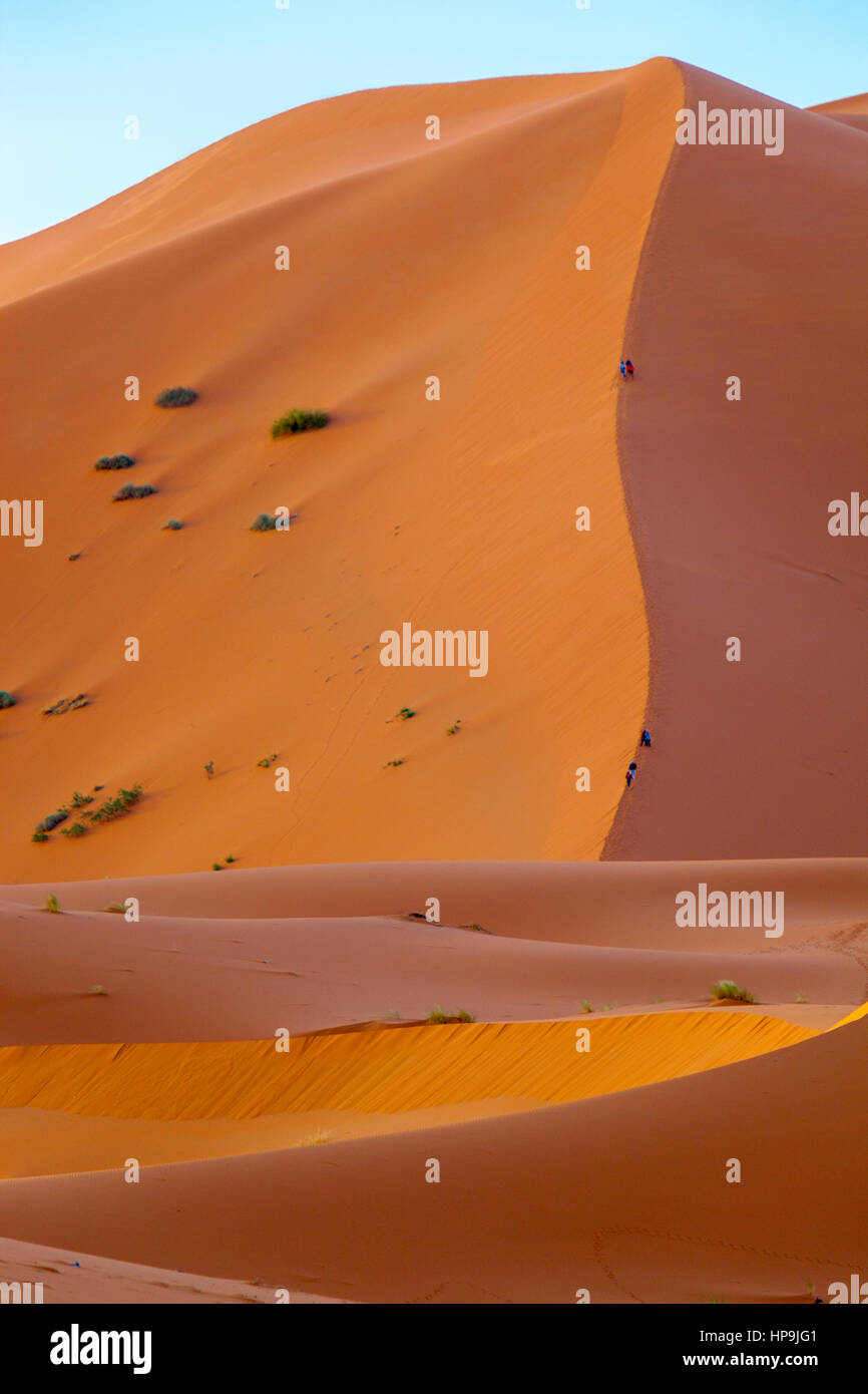 Merzouga, Morocco. Tourists Descending Sand Dune Along Vertical Seam