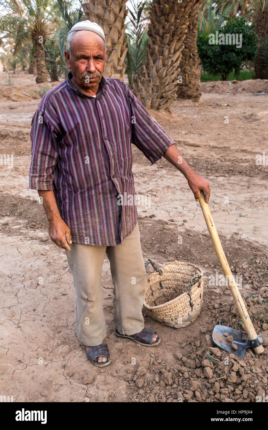 Merzouga, Morocco.  Amazigh Berber Farmer with his Hoe. Stock Photo