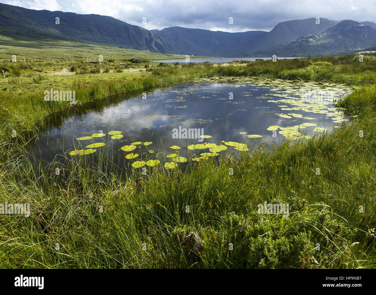 Irland, Teich in Seenlandschaft Stock Photo