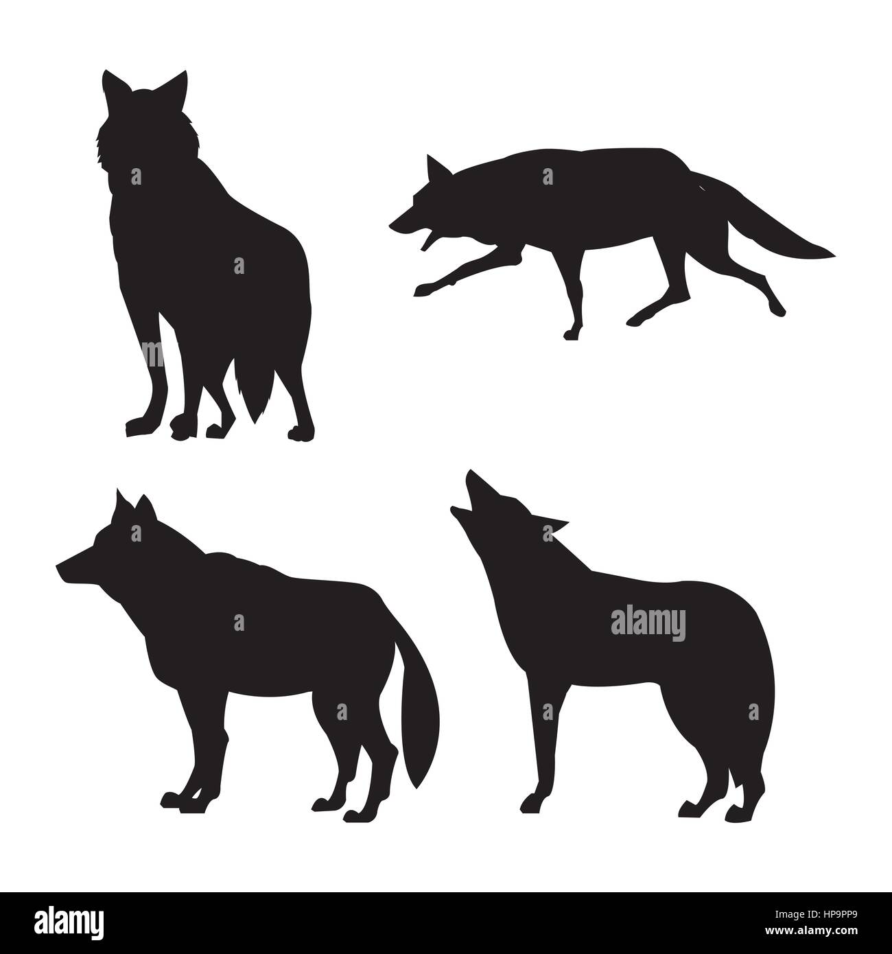 Wolf timber wolf animal image Cut Out Stock Images & Pictures - Alamy
