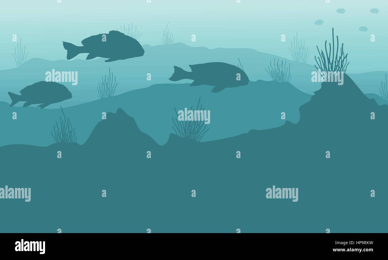 Silhouette of underwater beauty landscape with fish illustration Stock ...