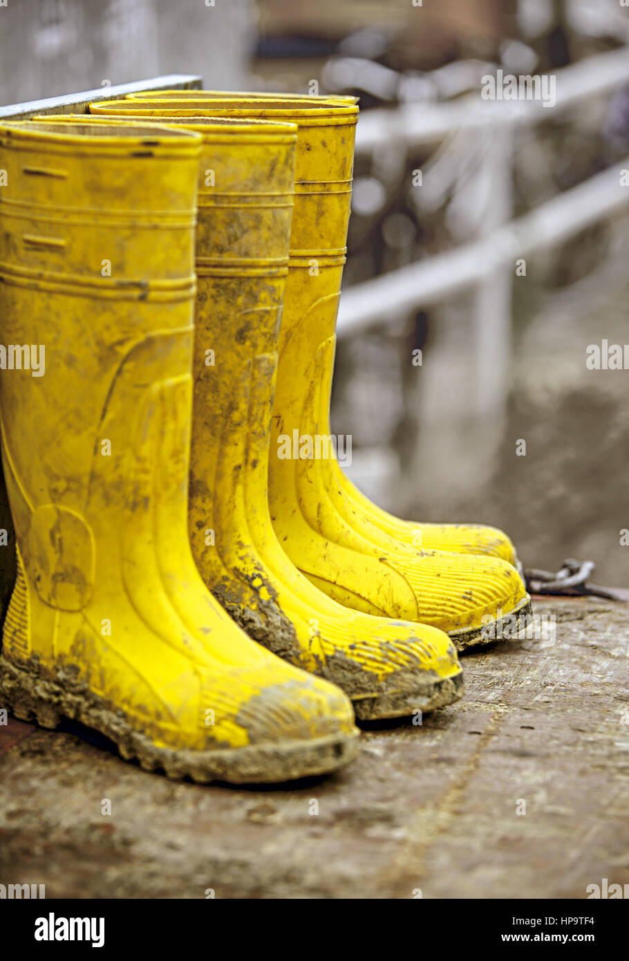 Gelbe Gummistiefel auf Baustelle Stock Photo - Alamy