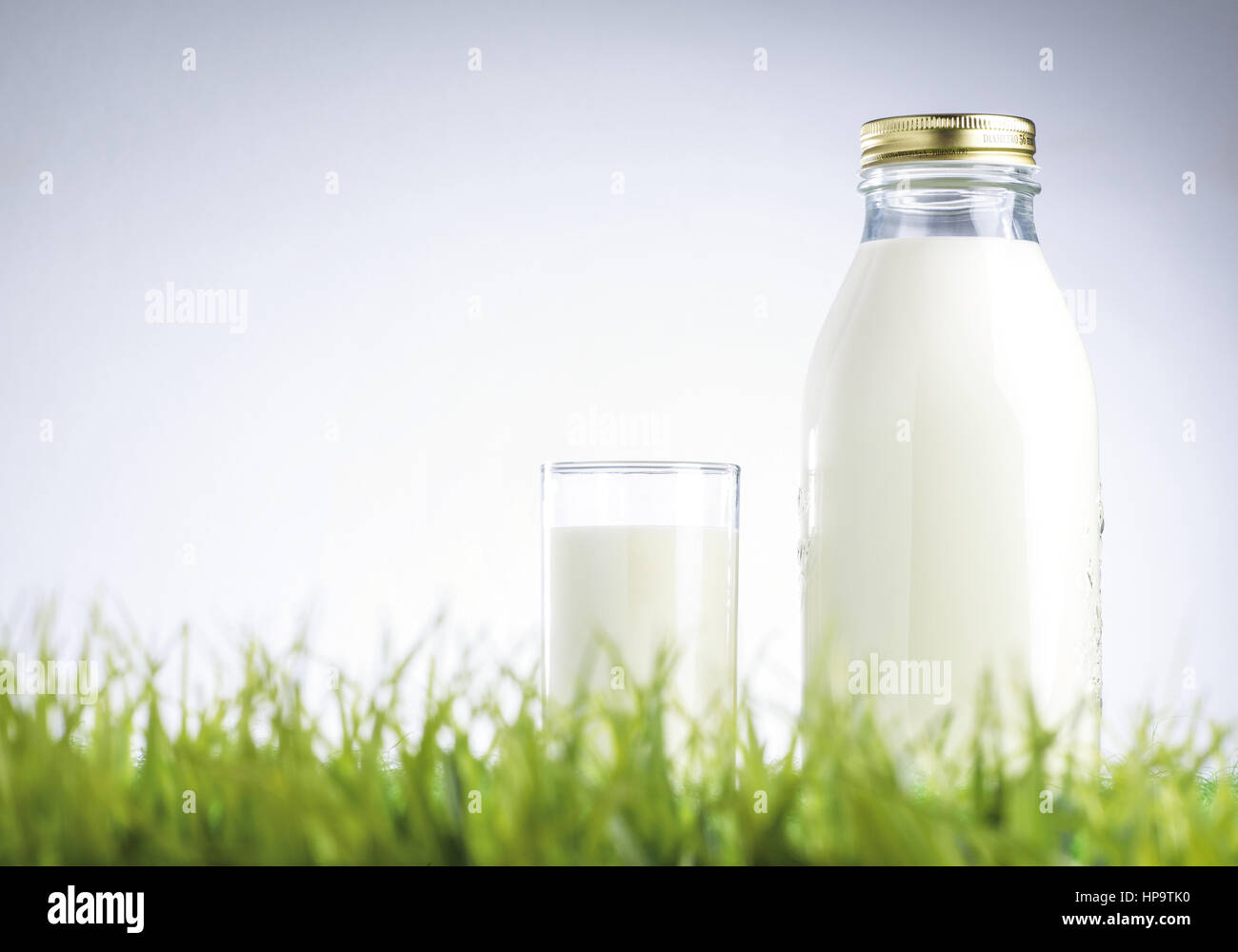 Flasche und Glas mit Milch stehen im Gras Stock Photo