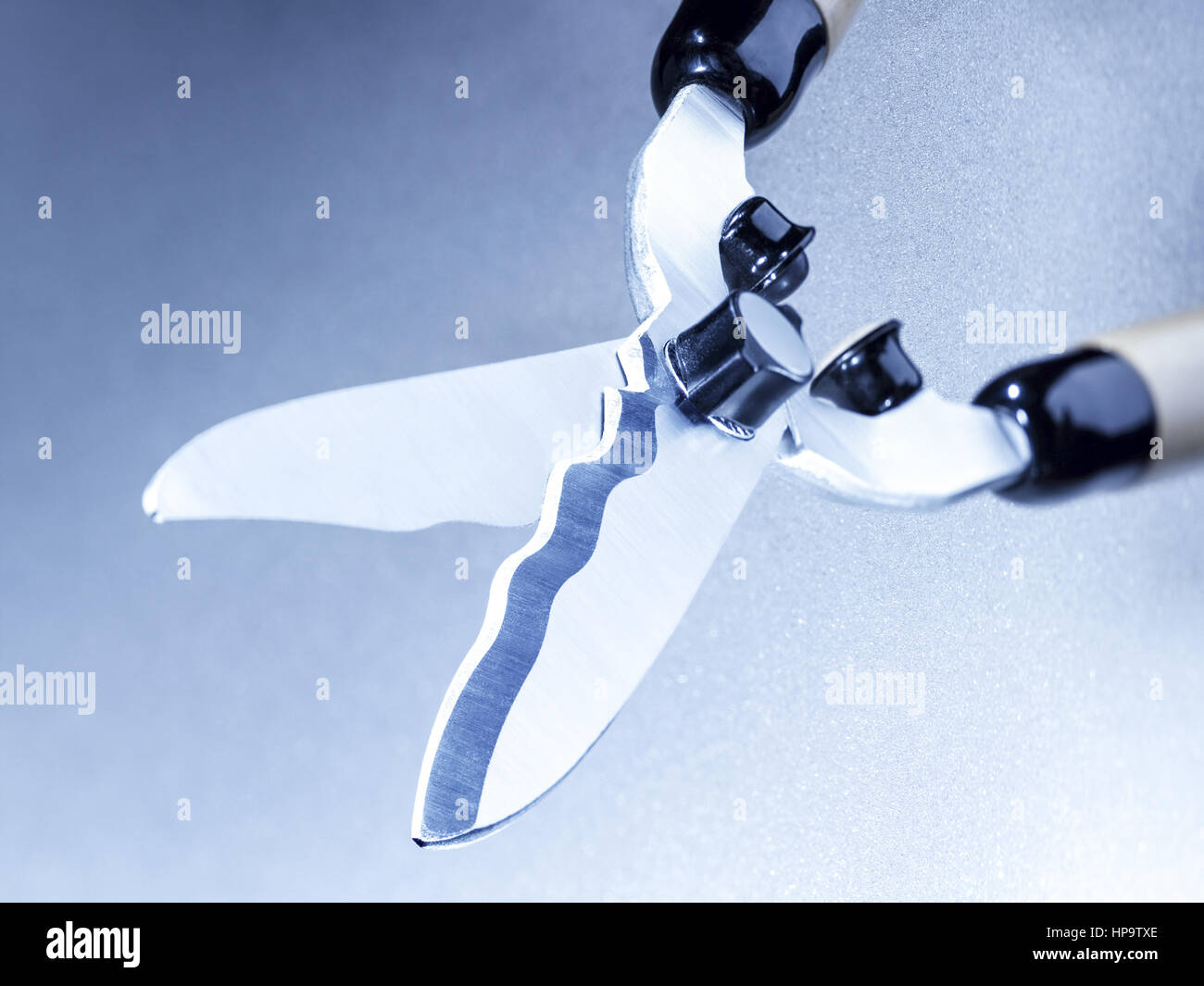 Gartenschere Stock Photo