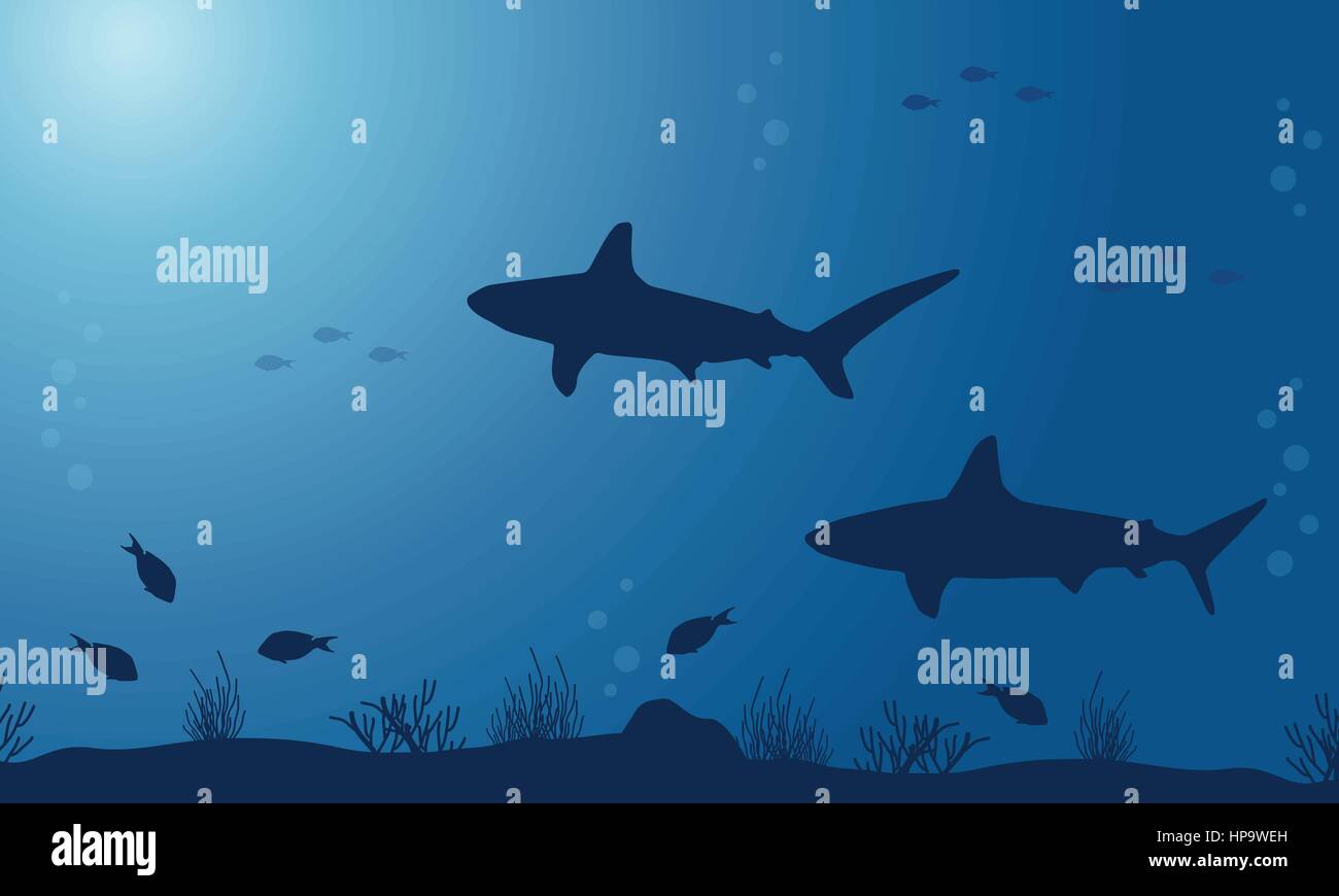 Silhouette Of Shark On Sea Backgrounds Vector Art Stock Vector Image silhouette-of-shark-on-sea-backgrounds-vector-art-stock-vector-image