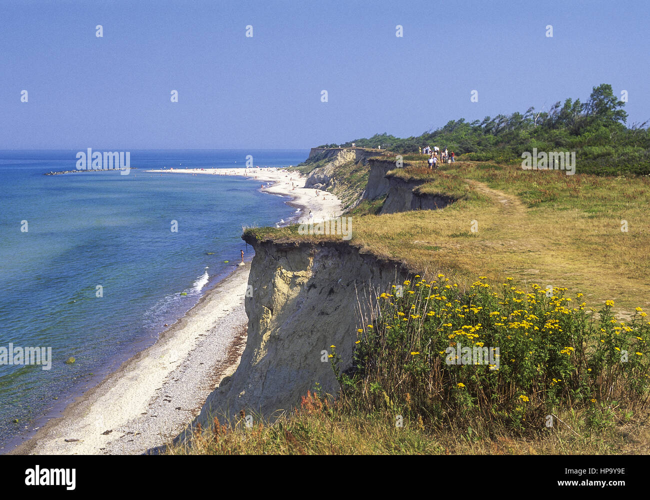 Habitat ostseekueste hires stock photography and images Alamy