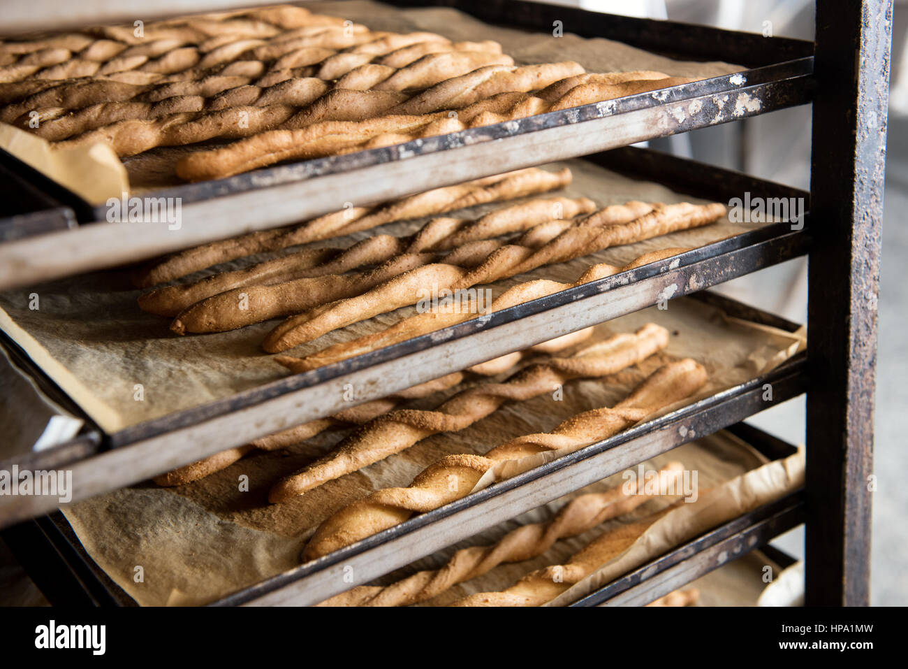 Just cooked breadsticks out of oven on baking trays cooling in bakery