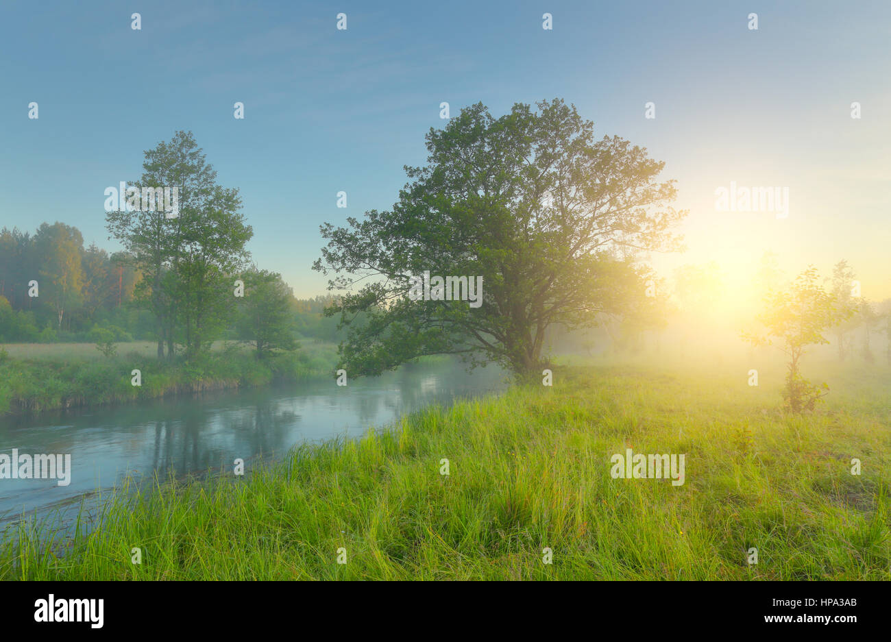 Green meadow in spring morning. Sunny spring sunrise. Bright landscape of spring field and river. Stock Photo