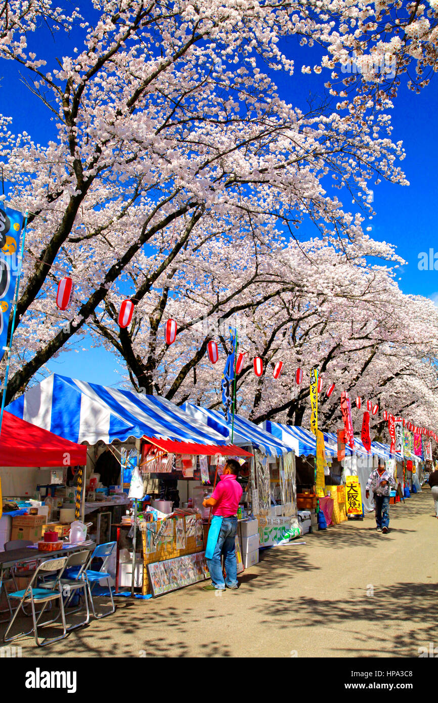 Cherry Blossoms Festival in Hamura city Tokyo Japan Stock Photo
