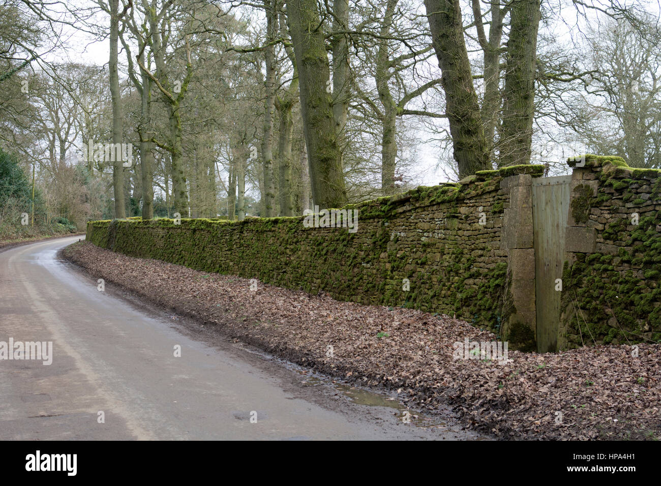 Batsford Arboretum boundary wall, Gloucestershire, England, UK Stock Photo