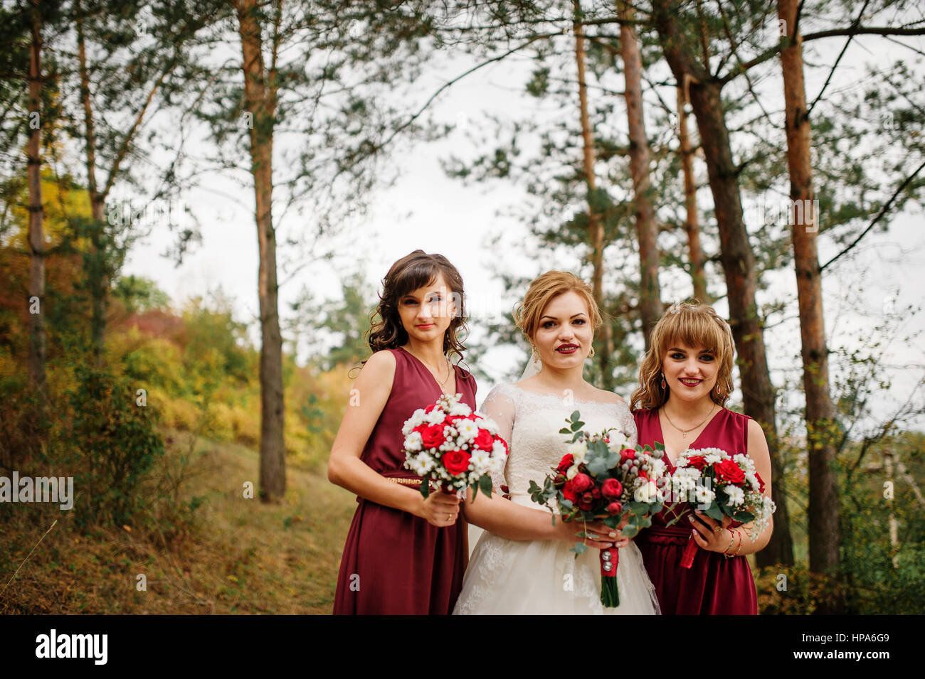 Bride with bridesmaids on red dresses at autumn pine wood Stock Photo ...