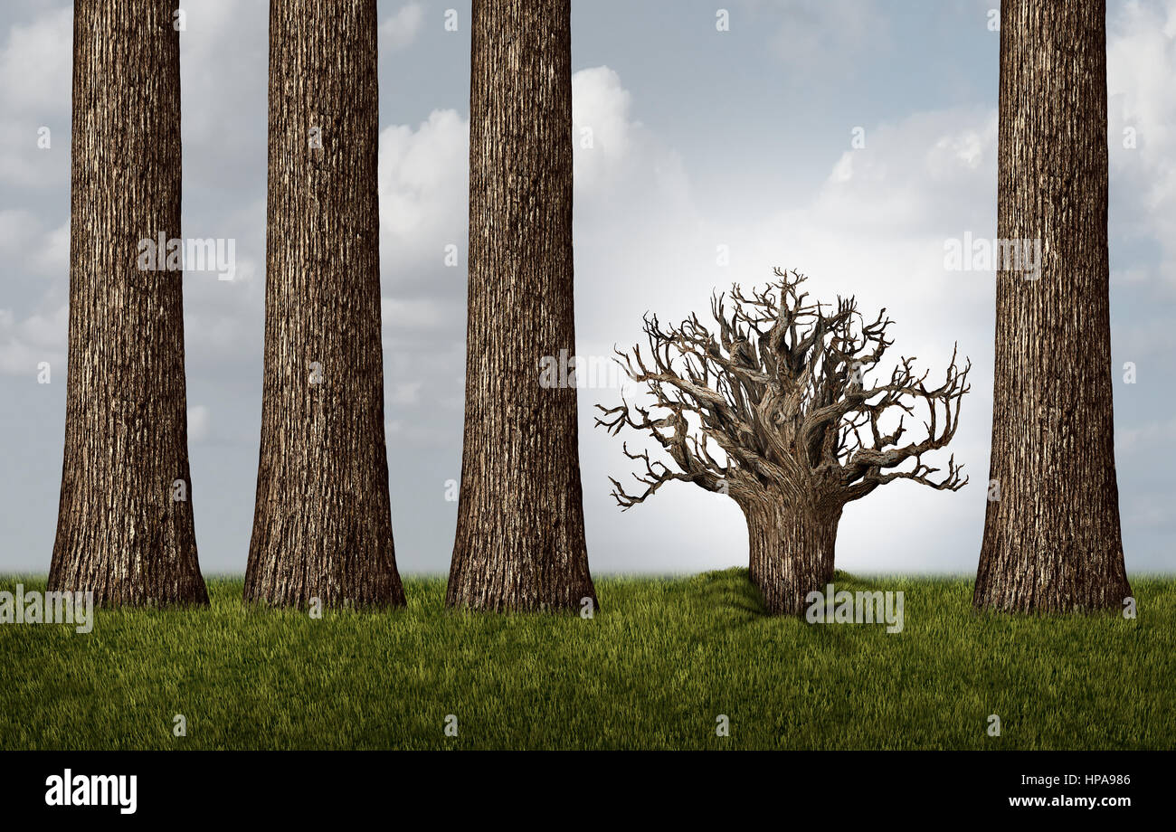 Opposite thinking and reverse concept as a group of tall trees and one plant trunk upside down exposing roots as a business metaphor. Stock Photo