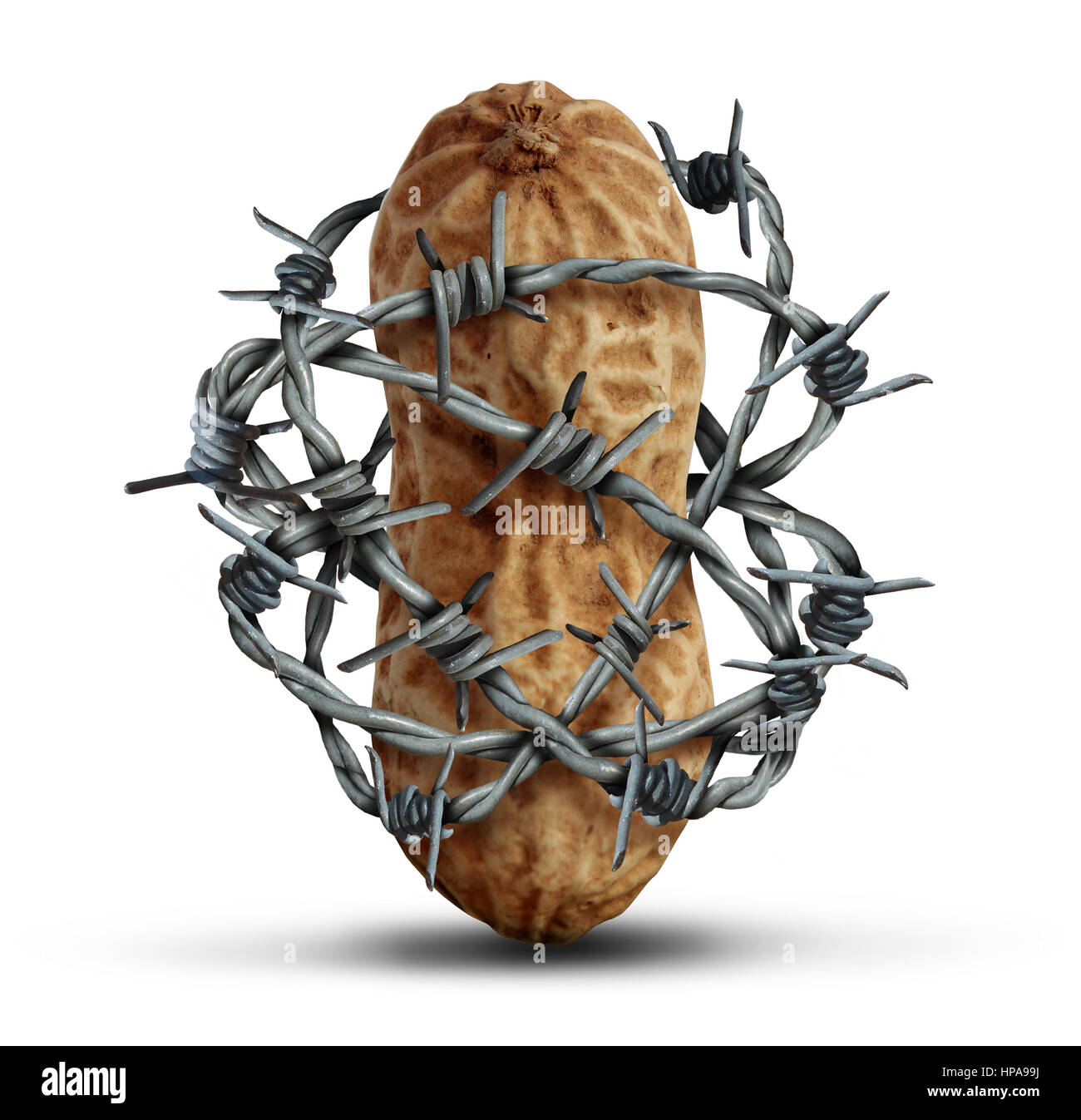 Food allergy prevention and avoiding nuts and other allergic risk ingredients caution as a peanut wrapped in barbed wire as a symbol. Stock Photo