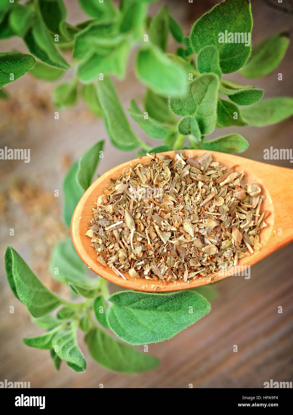 Oregano leaves hires stock photography and images Alamy