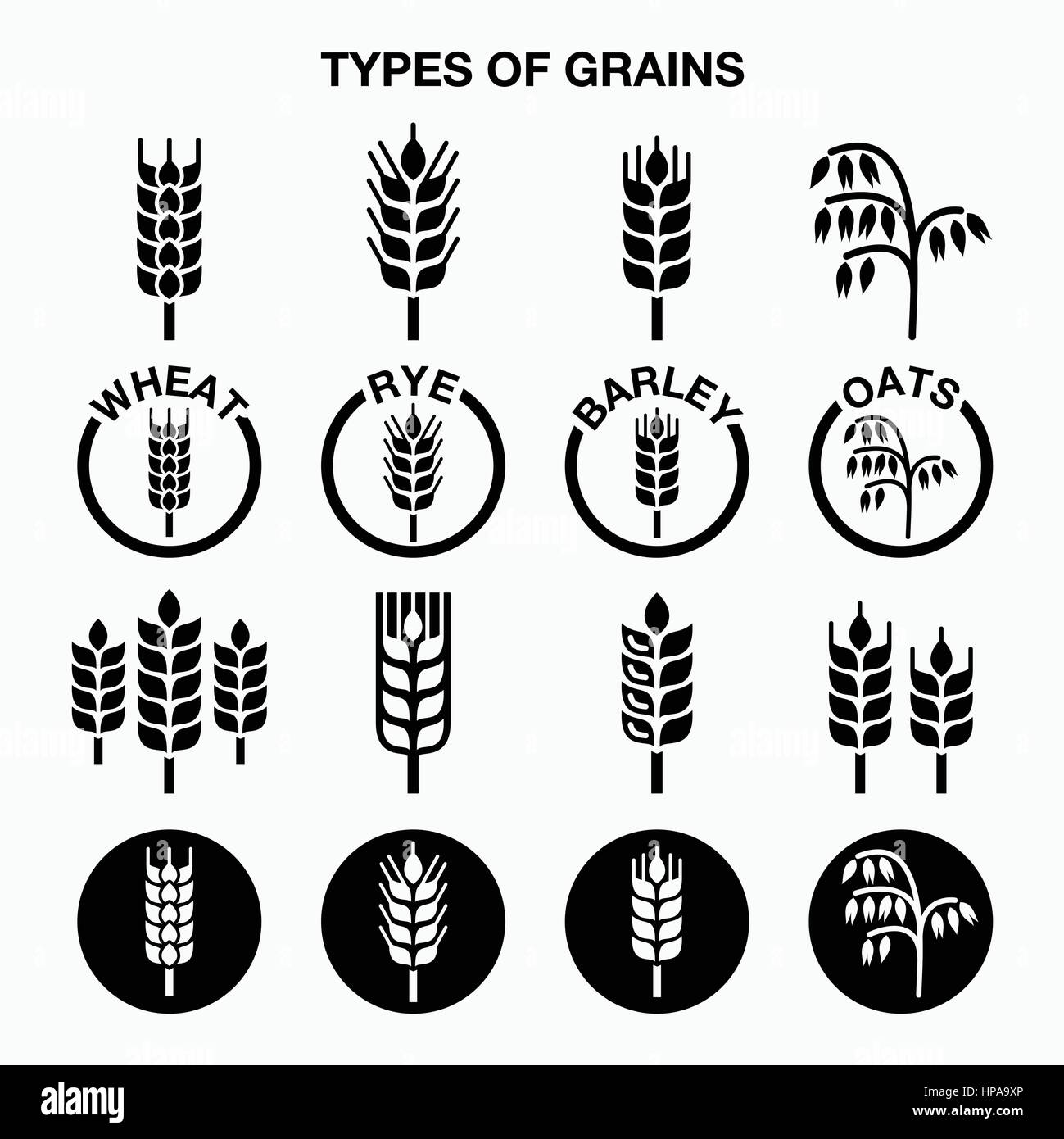 Types of grains, cereals icons wheat, rye, barley, oats Stock Vector