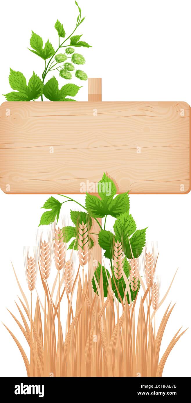 Wooden rectangular signboard with knots and cracks on a pole, hop branch and barley ears vector illustration Stock Vector