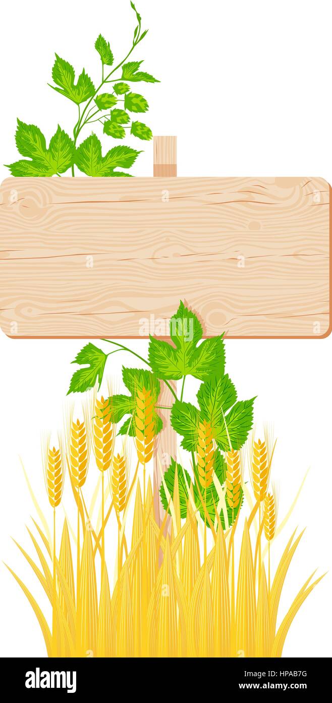 Wooden rectangular signboard with knots and cracks, hop branch and barley vector illustration Stock Vector