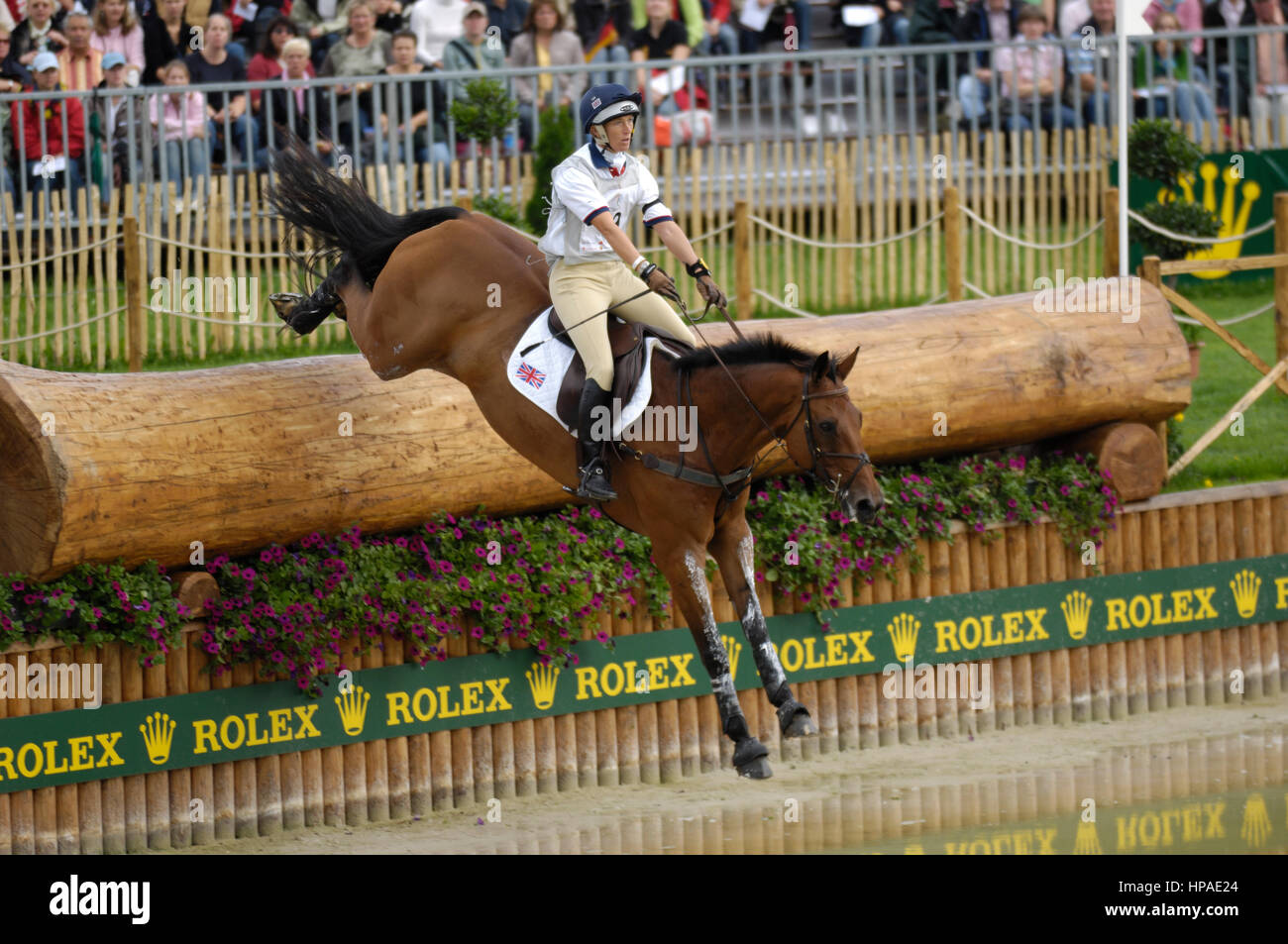 [ReinSein]ACC★daisy daisy QHP Daisy Rein - Saddleworld Ipswich