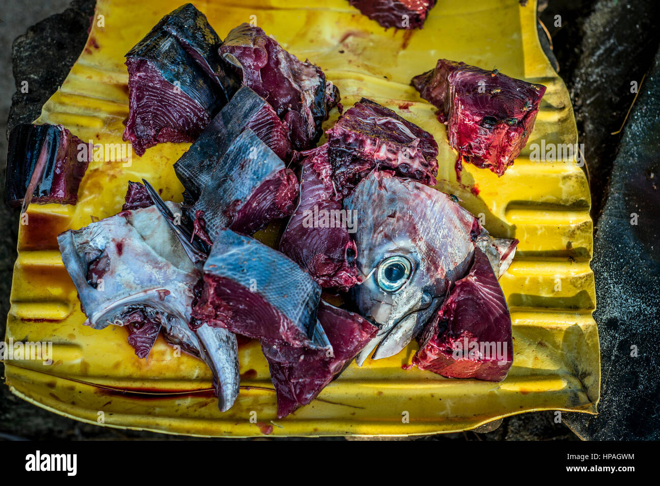 Nungwi Village + Fishing Trip + Seafood Cooking Class - View 1