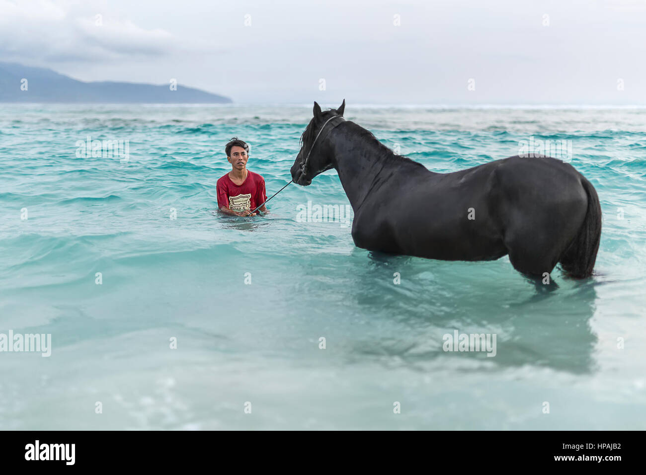 Gili Trawangan, Indonesia - 25 January 2017: man with horse in the sea on the background of the cloudy sky and mountains. Editorial photo. Horizontal. Stock Photo