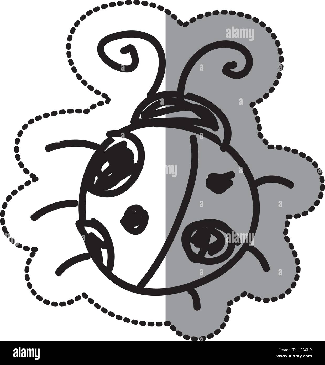 ladybug icon stock image Stock Vector Image & Art - Alamy