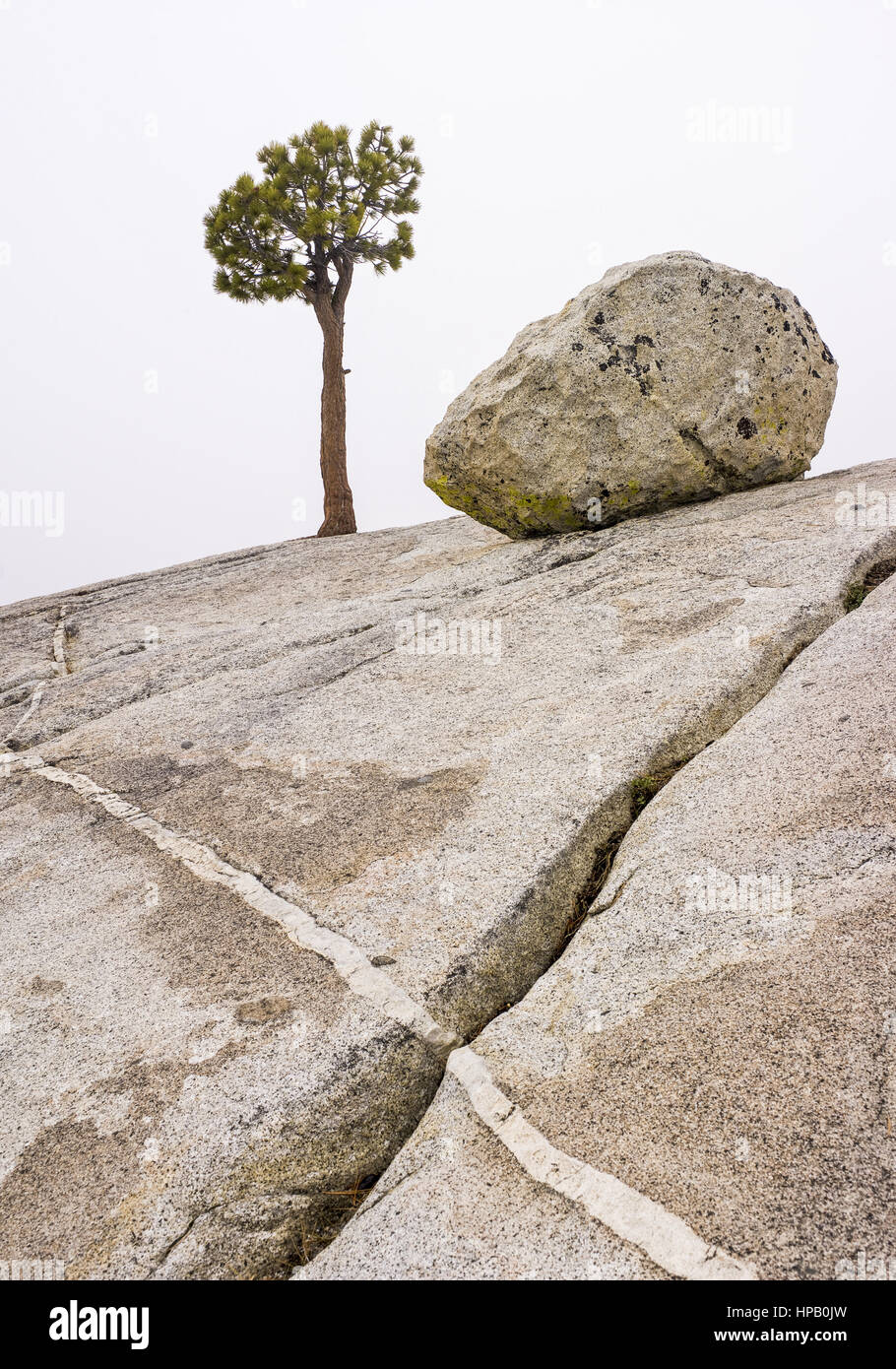 Felsenlandschaft mit Baum Stock Photo