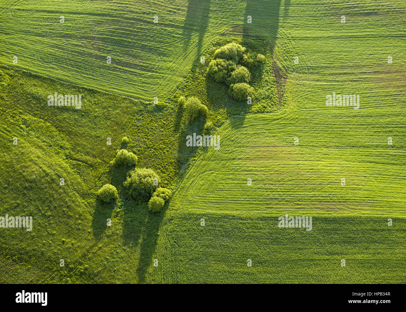 Ackerlandschaft im Fruehjahr, Luftaufnahme Stock Photo