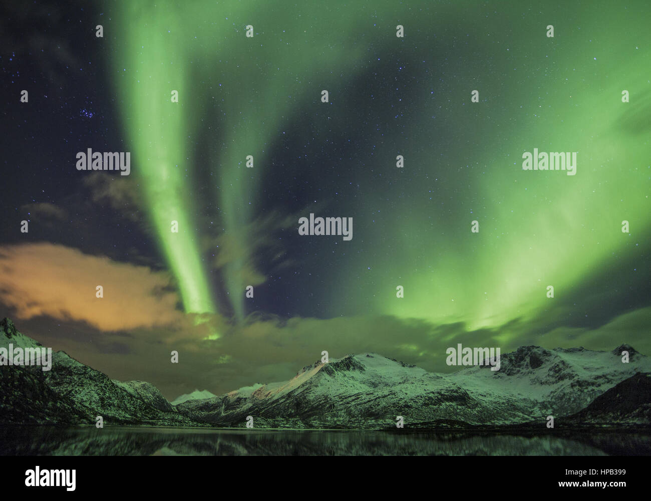 Nordlichter auf den Lofoten, Norwegen Stock Photo