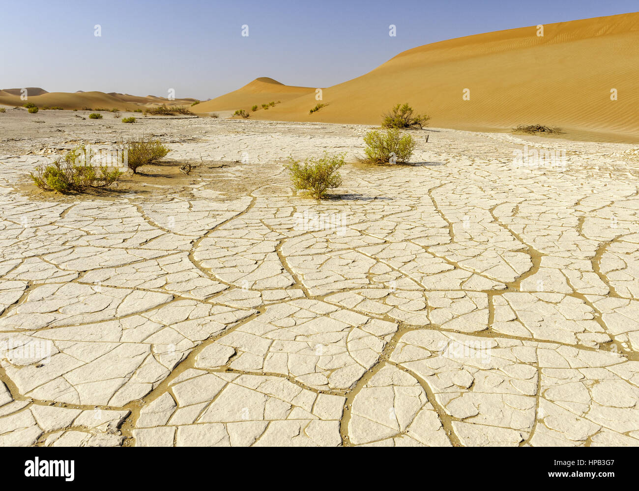 Salzkruste in Wueste, Rub al-Chali, Oman Stock Photo