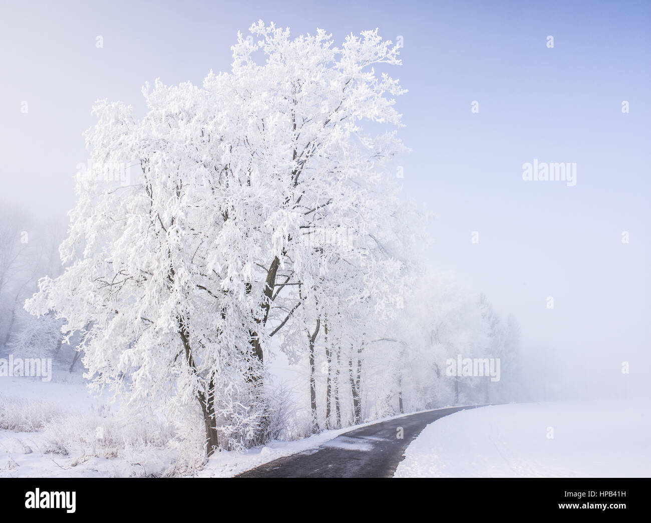Winterlandschaft mit Schnee, Raureif und Nebel, Bayern, BRD Stock Photo