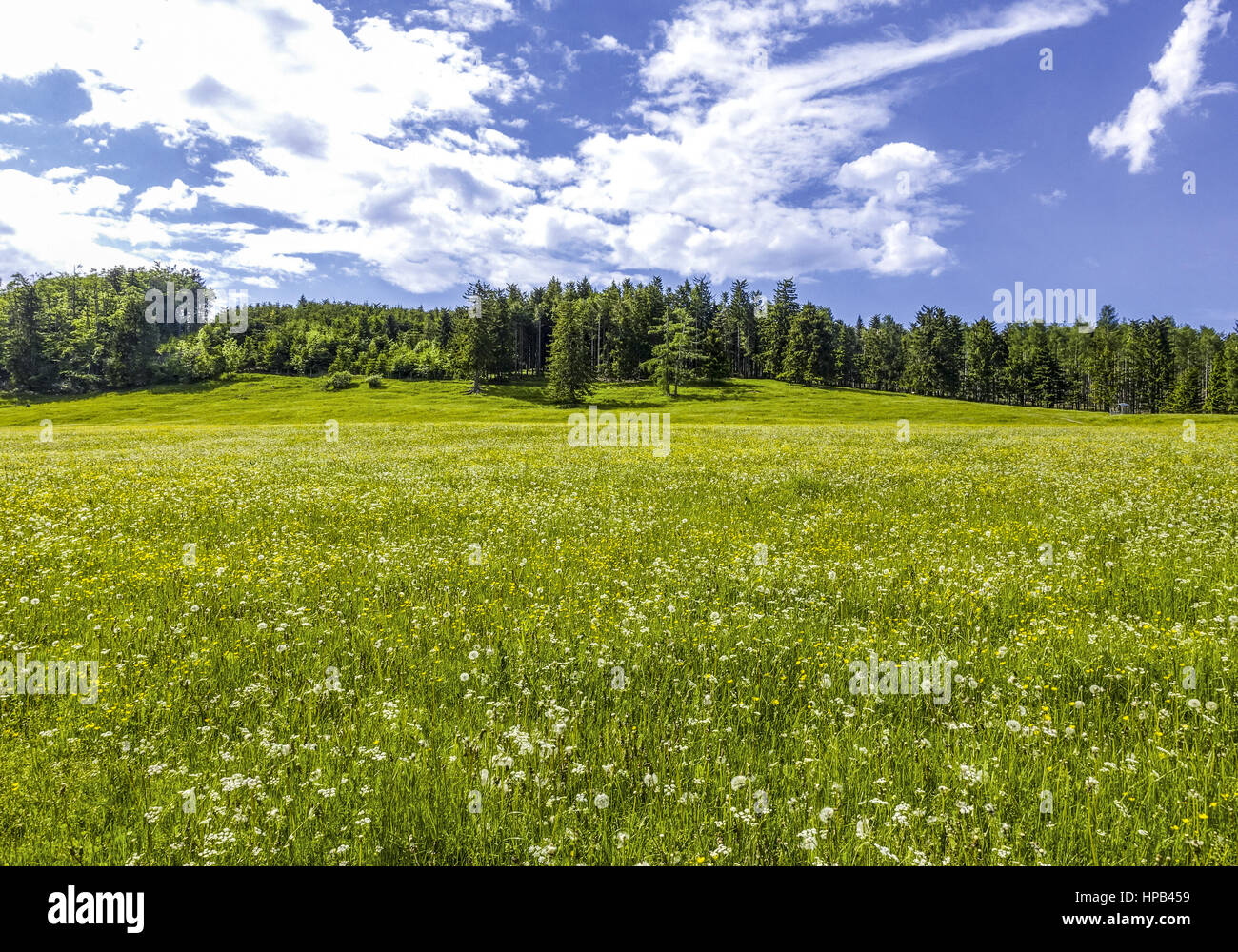 Fruehlingslandschaft in Oesterreich Stock Photo