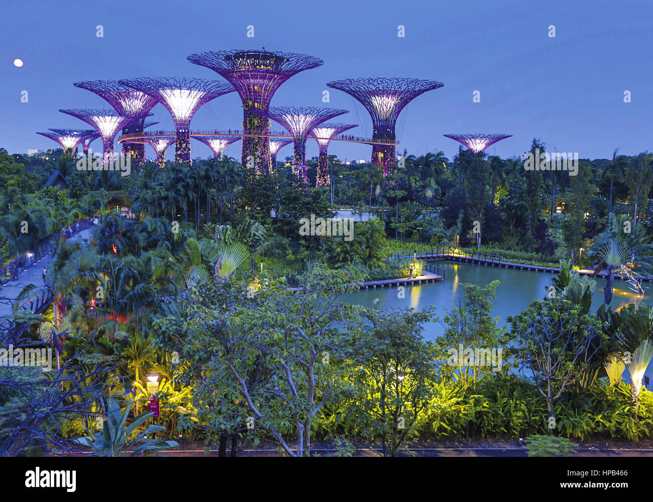 Singapur, Botanischer Garten Stock Photo