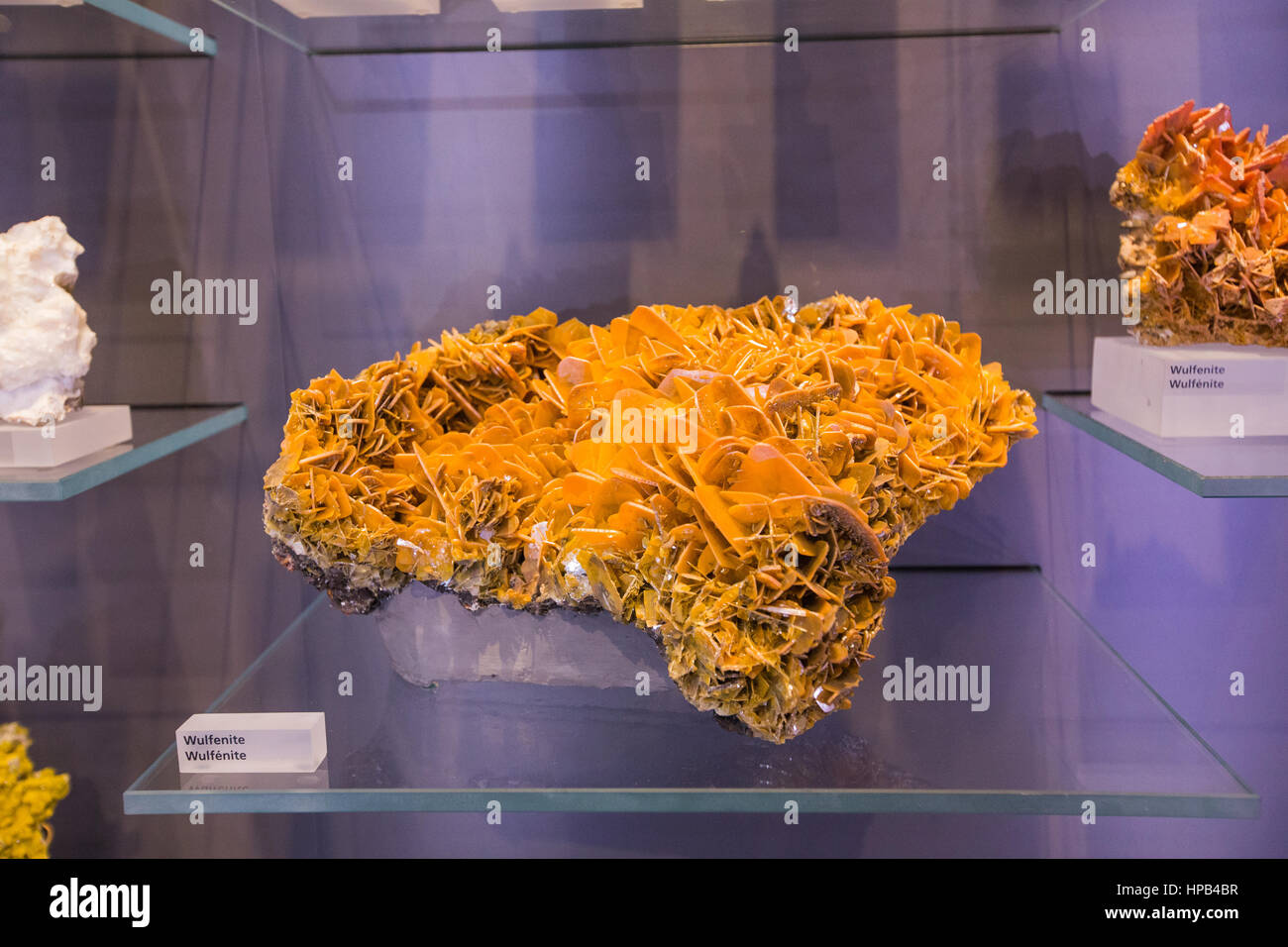 Crystal and minerals inside Toronto Royal Ontario Museum Stock Photo