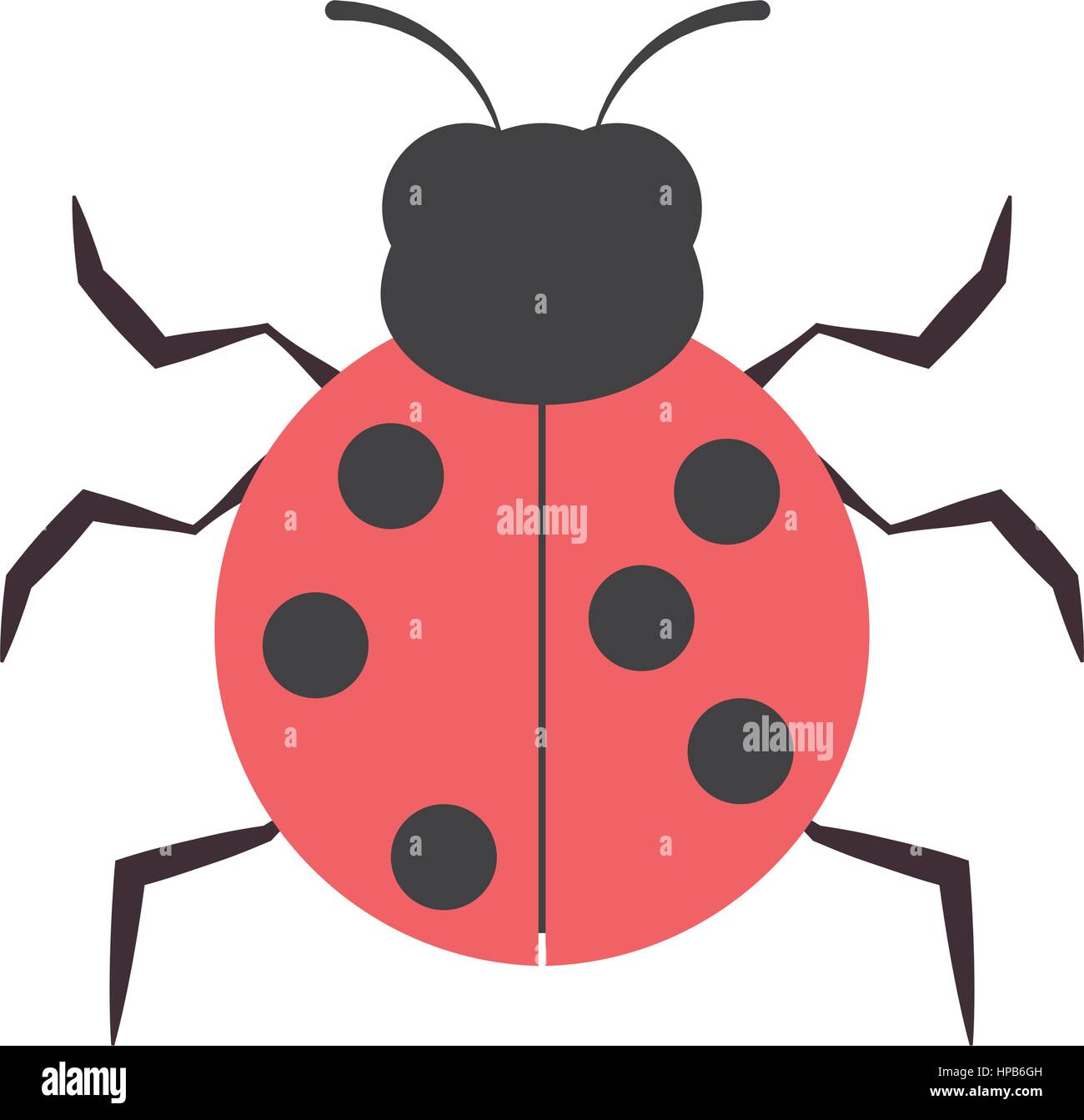 ladybug animal insect garden vector illustration eps 10 Stock Vector ...