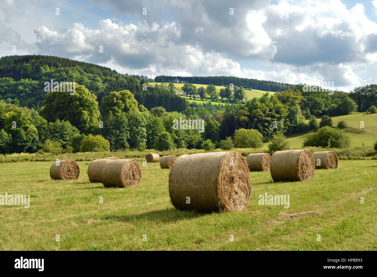 Round hay bales on a harvested field Stock Photo - Alamy