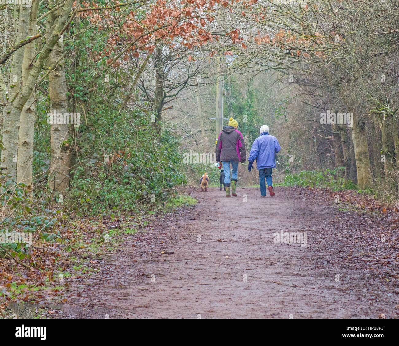 Two women on a Winter walk with the dogs Stock Photo - Alamy