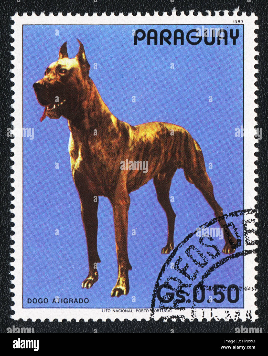 A stamp printed in Paraguay  shows a  Great Dane with tiger-stripe pattern, from series Breed of dogs,  circa 1983 Stock Photo