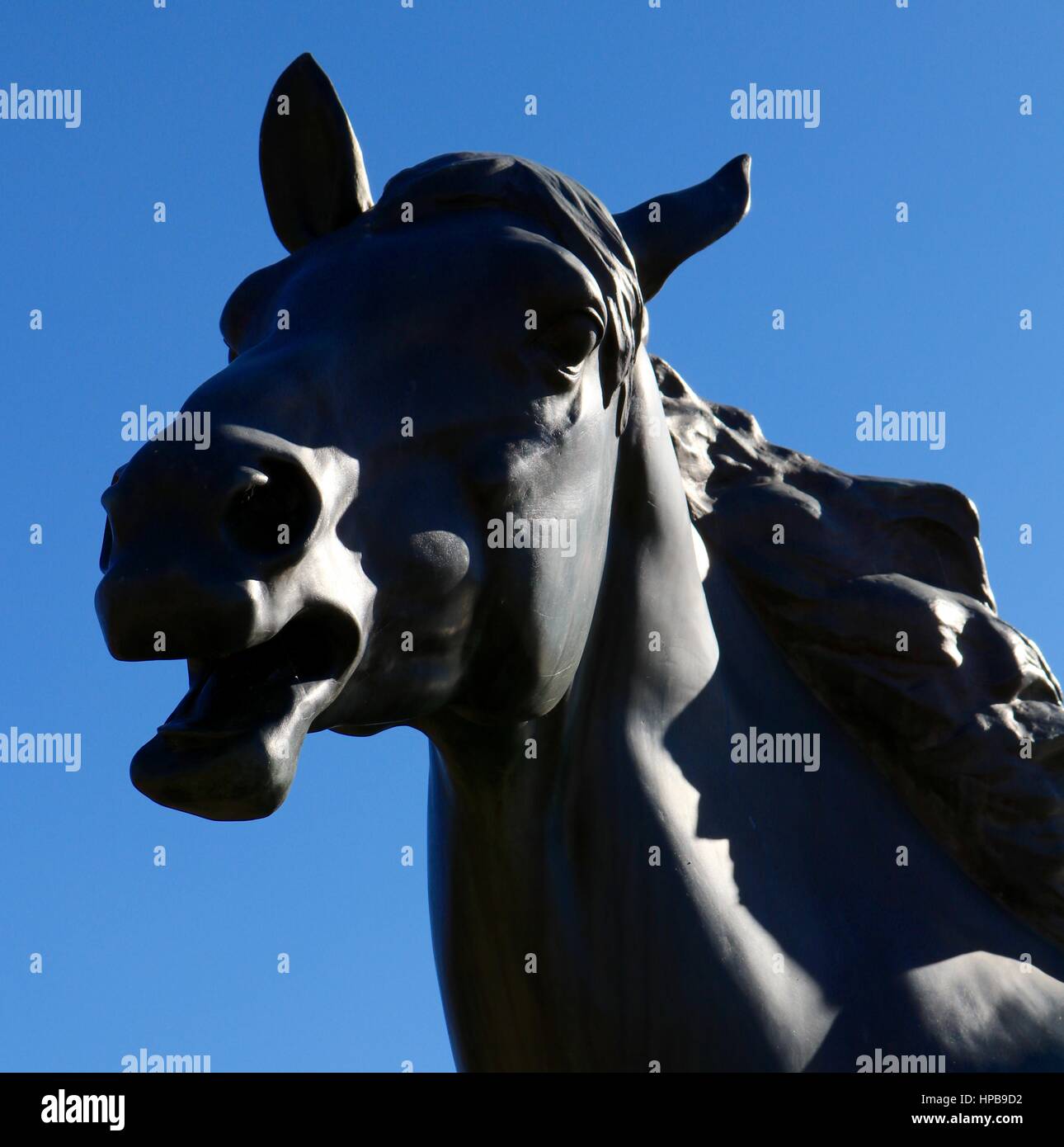 Close-up of horse statue at farm. Stock Photo