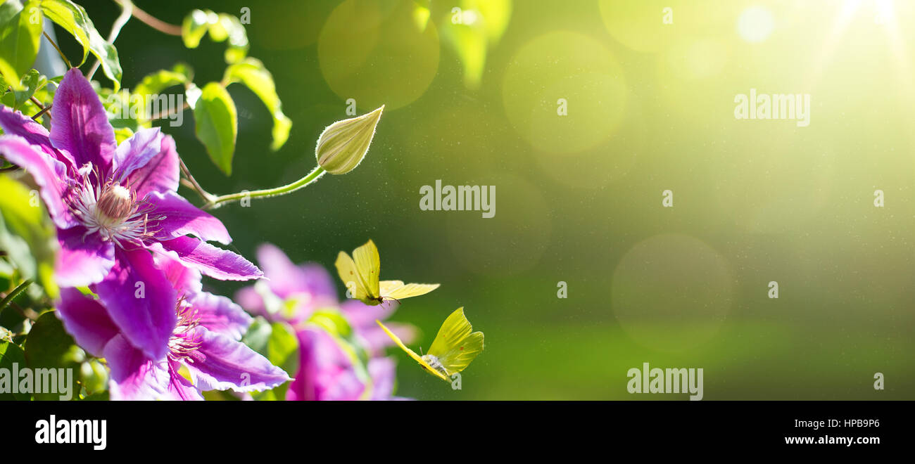 art Spring or summer flower background; Easter landscape Stock Photo