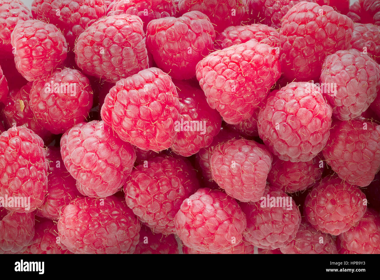 Juicy Raspberry closeup photo of juicy raspberries in box Stock Photo - Alamy